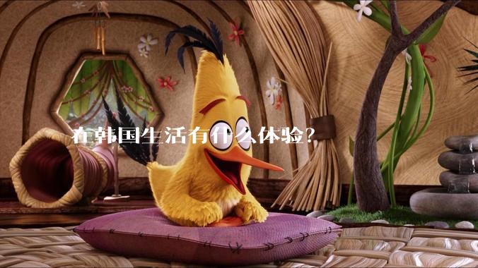 在韩国生活有什么体验？